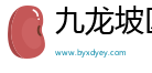 九龙坡区风飞
